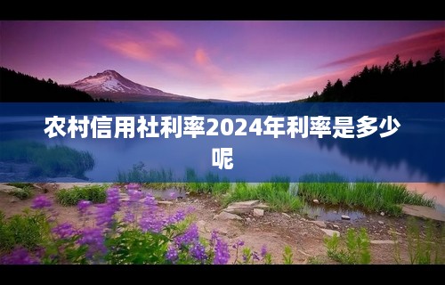 农村信用社利率2024年利率是多少呢