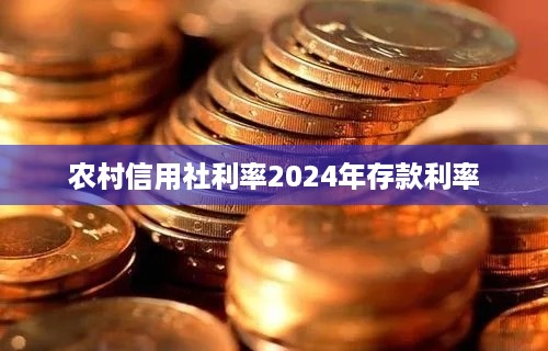 农村信用社利率2024年存款利率