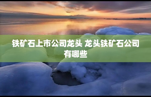 铁矿石上市公司龙头 龙头铁矿石公司有哪些