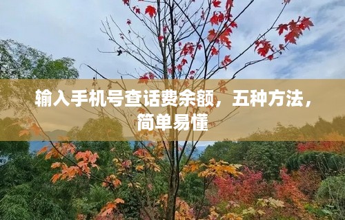 输入手机号查话费余额，五种方法，简单易懂