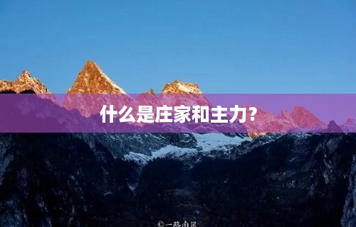 什么是庄家和主力？