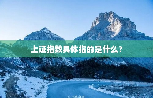 上证指数具体指的是什么？