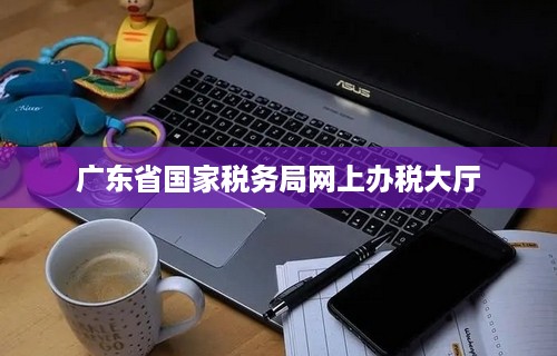 广东省国家税务局网上办税大厅