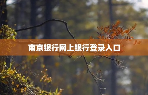 南京银行网上银行登录入口