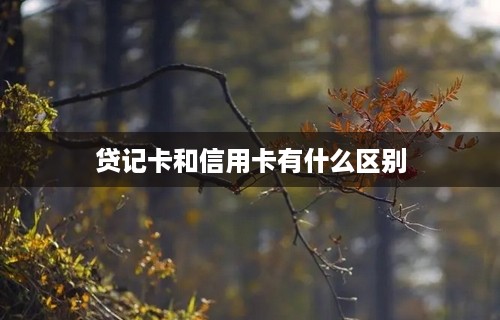 贷记卡和信用卡有什么区别