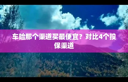 车险那个渠道买最便宜？对比4个投保渠道