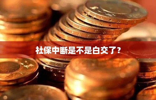 社保中断是不是白交了？