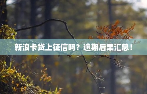 新浪卡贷上征信吗？逾期后果汇总！