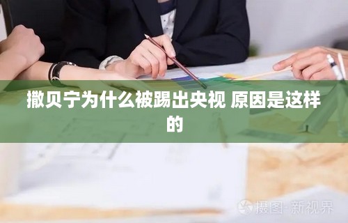 撒贝宁为什么被踢出央视 原因是这样的