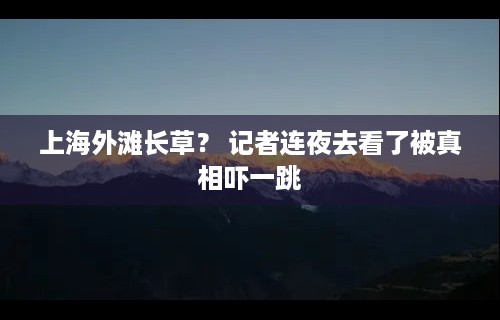 上海外滩长草？ 记者连夜去看了被真相吓一跳