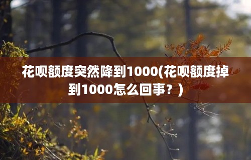 花呗额度突然降到1000(花呗额度掉到1000怎么回事？)