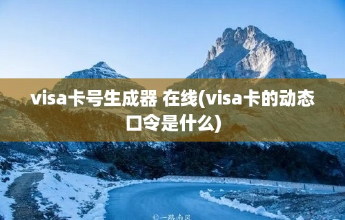 visa卡号生成器 在线(visa卡的动态口令是什么)